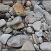 Lato , Lato ... nadmorskie inspiracje na zajęciach plastyki